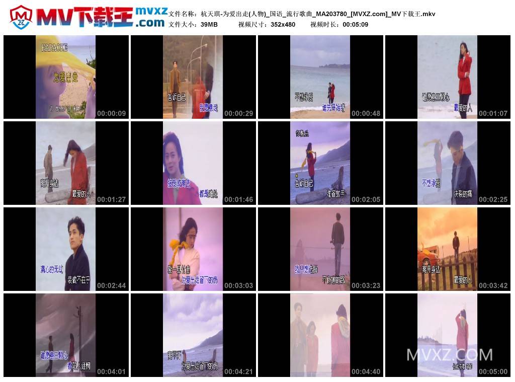 杭天琪-为爱出走(人物)_国语_流行歌曲_MA203780